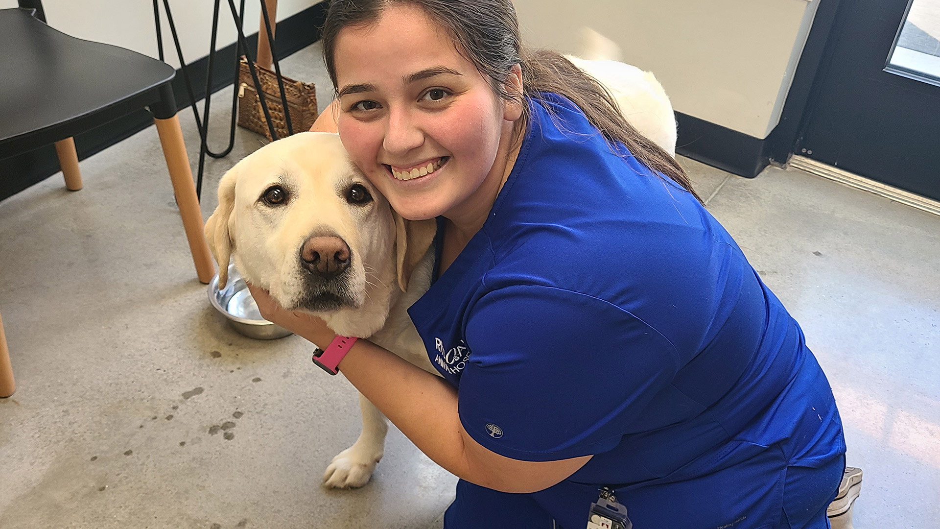 vet with dog