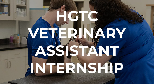 vets working with a cat with text on top of the image